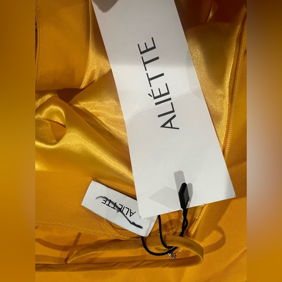 $1995 Aliétte
Lace-Up Back Silk Faille Minidress size 4 - Picture 9 of 10